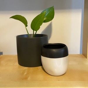 Black and White Ceramic Pot